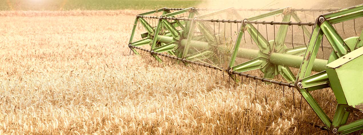 Декларация на зерно в 2025-2026: пошаговая инструкция для фермера